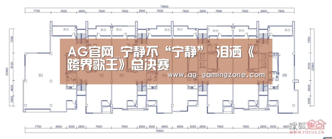 AG官网_宁静不“宁静” 泪洒《跨界歌王》总决赛(图1) AG地址