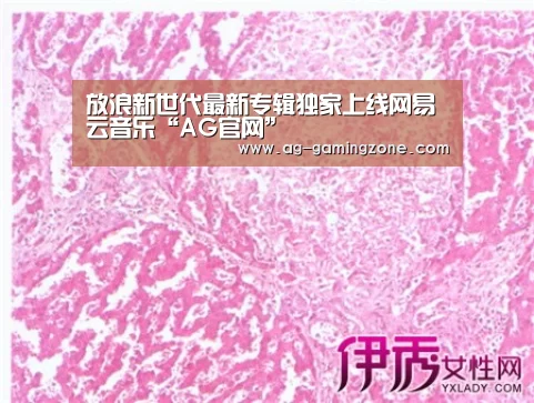 AG官网